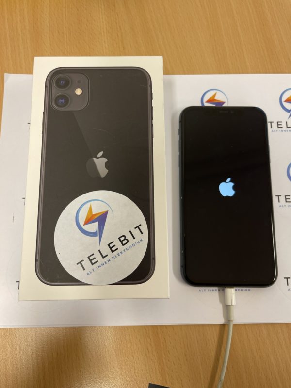 Apple iPhone 11 64GB 100%