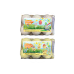 DEKORER EGG M/TUSJ - 6 STK - 2 ASS