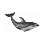 KVITNOSDELFIN M