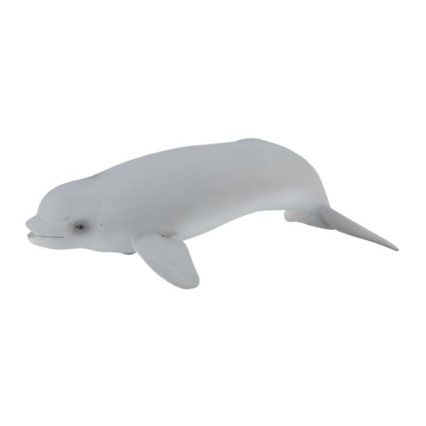 BELUGA HVAL UNGE M