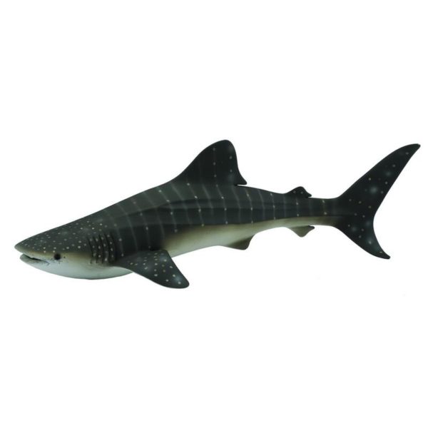 HVALHAI XL 88453