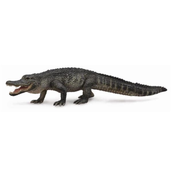 AMERIKANSK ALLIGATOR L 88609