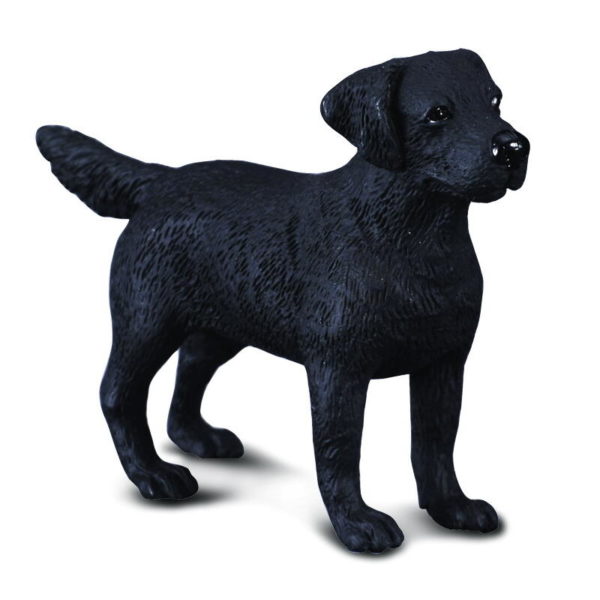 LABRADOR RETRIEVER M 88076**