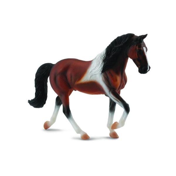 BAY PINTO TENNESSEE HINGST GÅENDE XL