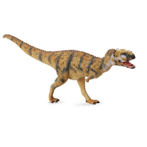 RAJASAURUS L 88555