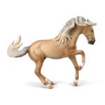 LUSITANO HINGST XL