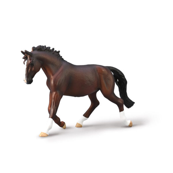 OLDENBURG HOPPE XL