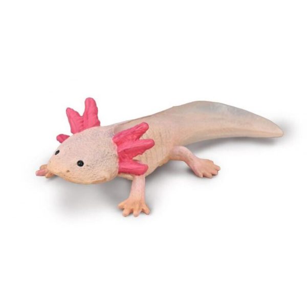 AXOLOTL M
