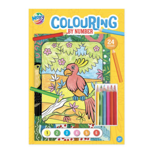 FARGEBOK - COLOUR BY NUMBER M/BLYANTER