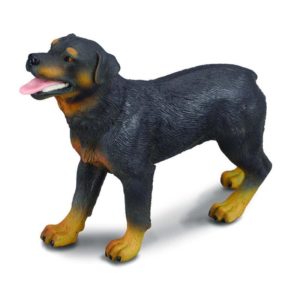 ROTTWEILER L