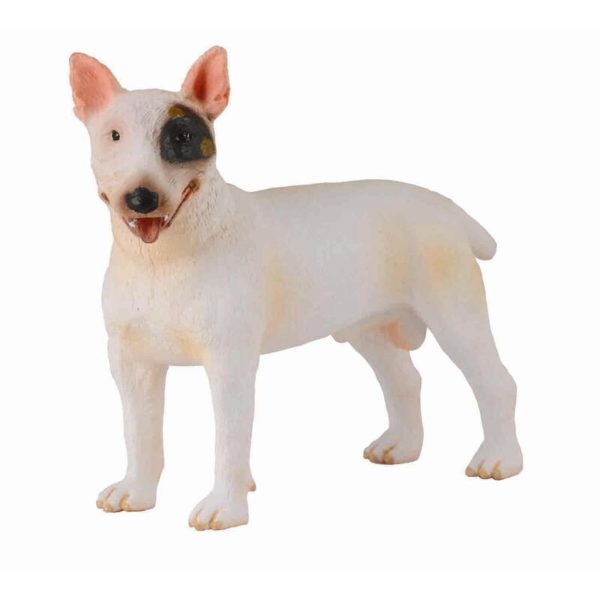 BULL TERRIER M