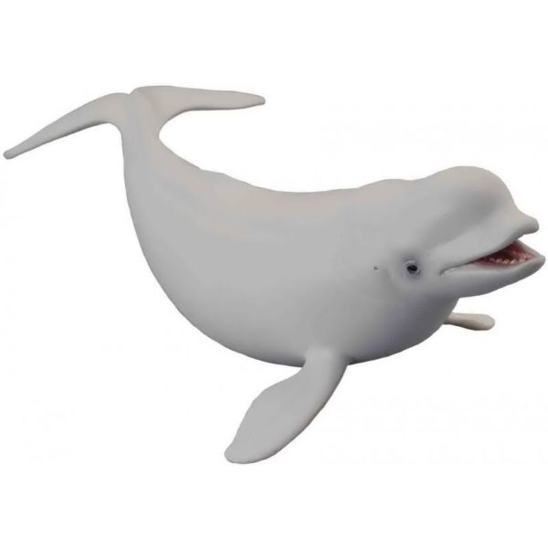 BELUGA HVAL L
