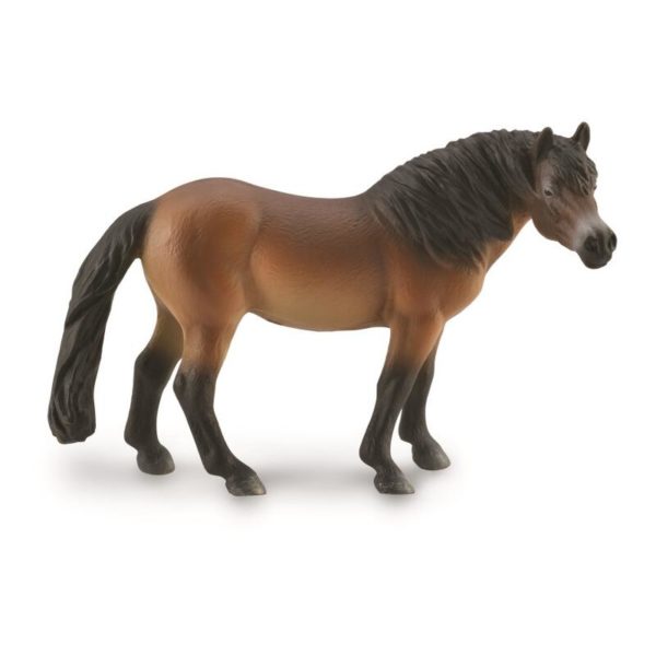 EXMOOR PONNI HINGST L