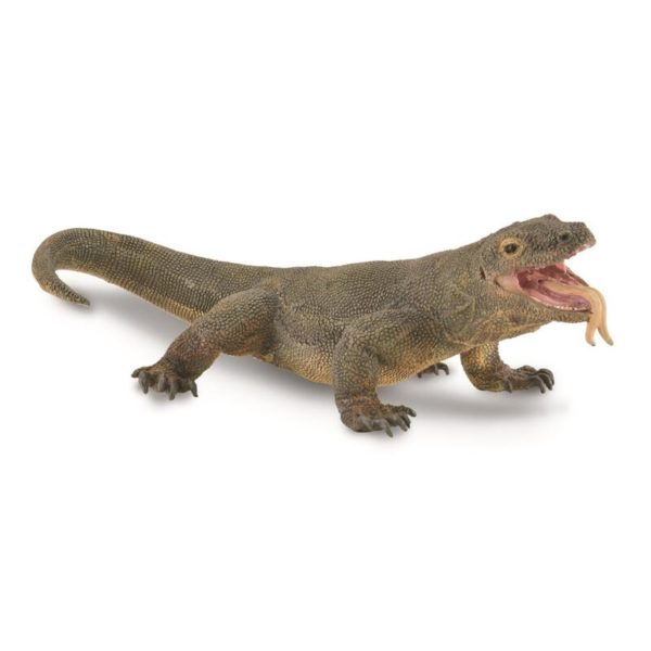 KOMODOVARAN L