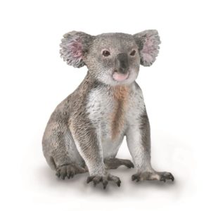 KOALA M