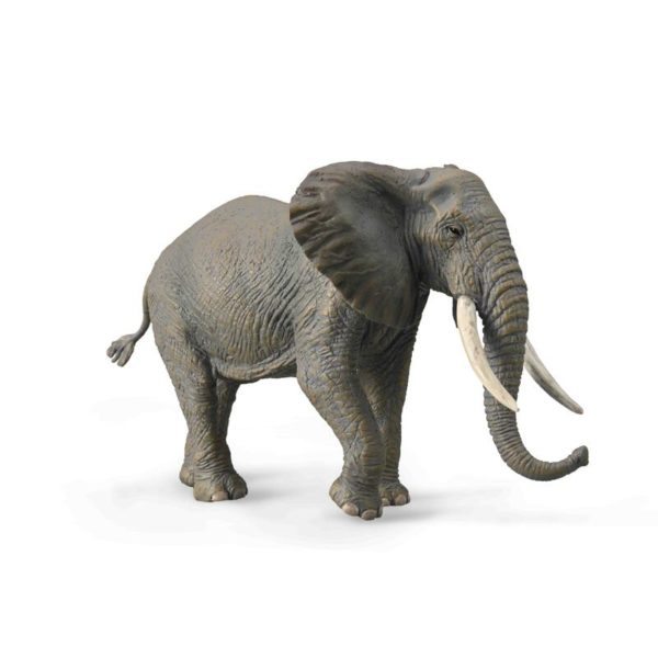AFRIKANSK ELEFANT - XL