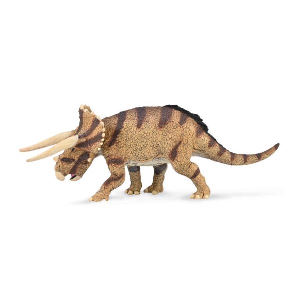 TRICERATOPS HORRIDUS L