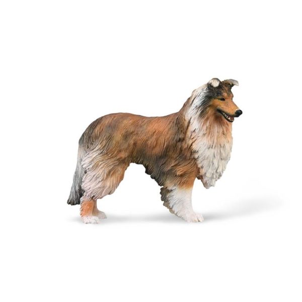 COLLIE - L